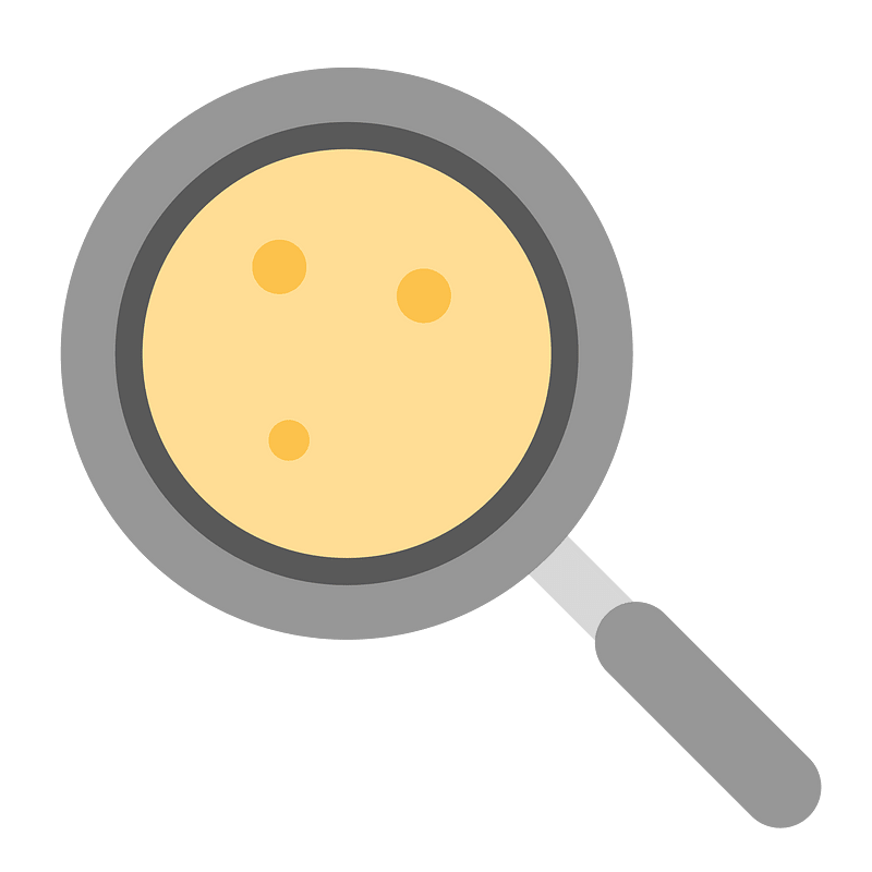 Fried egg pan