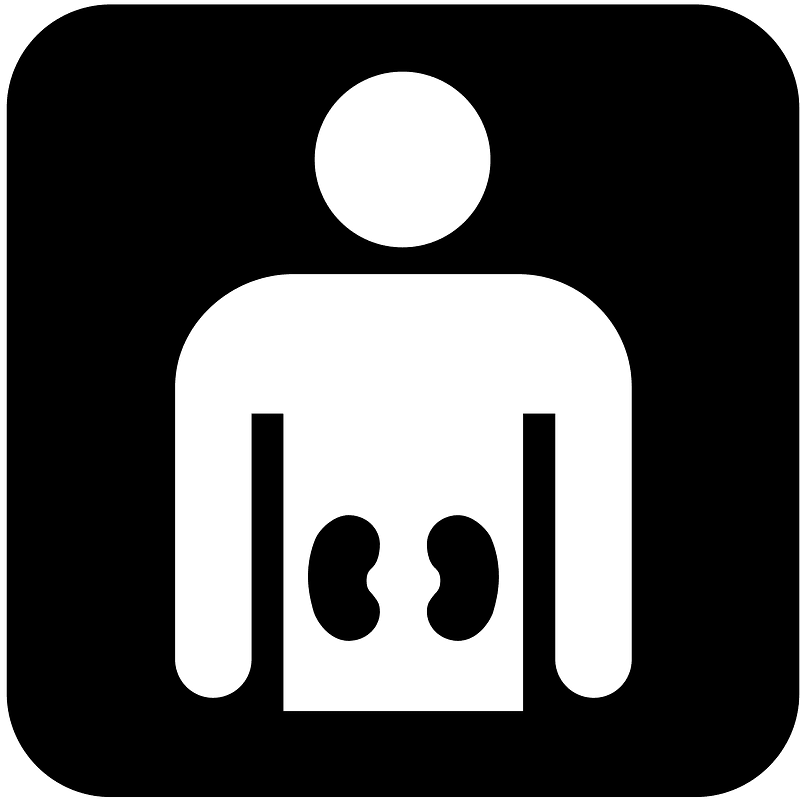 Kidney