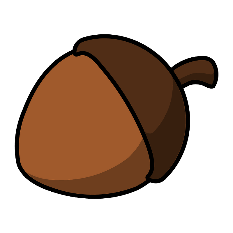File type squirrel