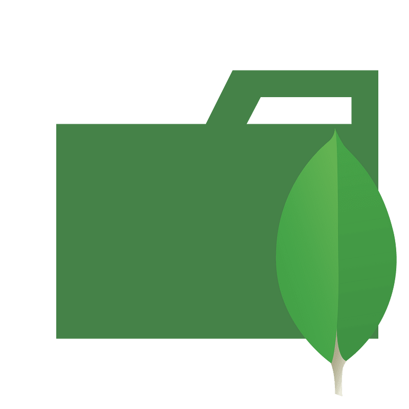 Folder type mongodb