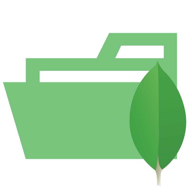 Folder type mongodb opened