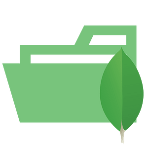 Folder type mongodb opened
