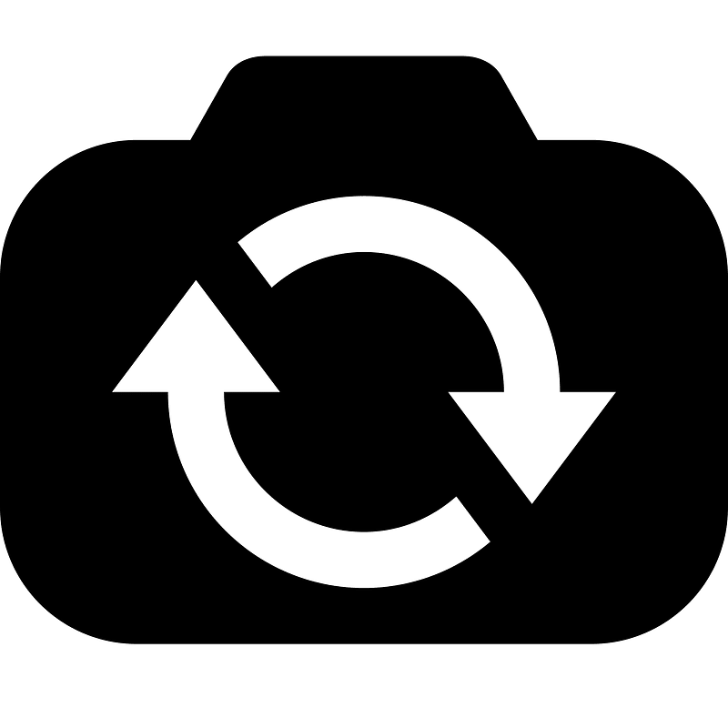 Switch Camera