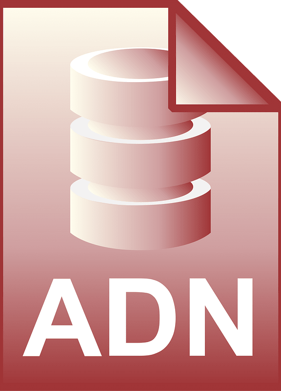 Adn
