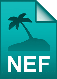 Nef