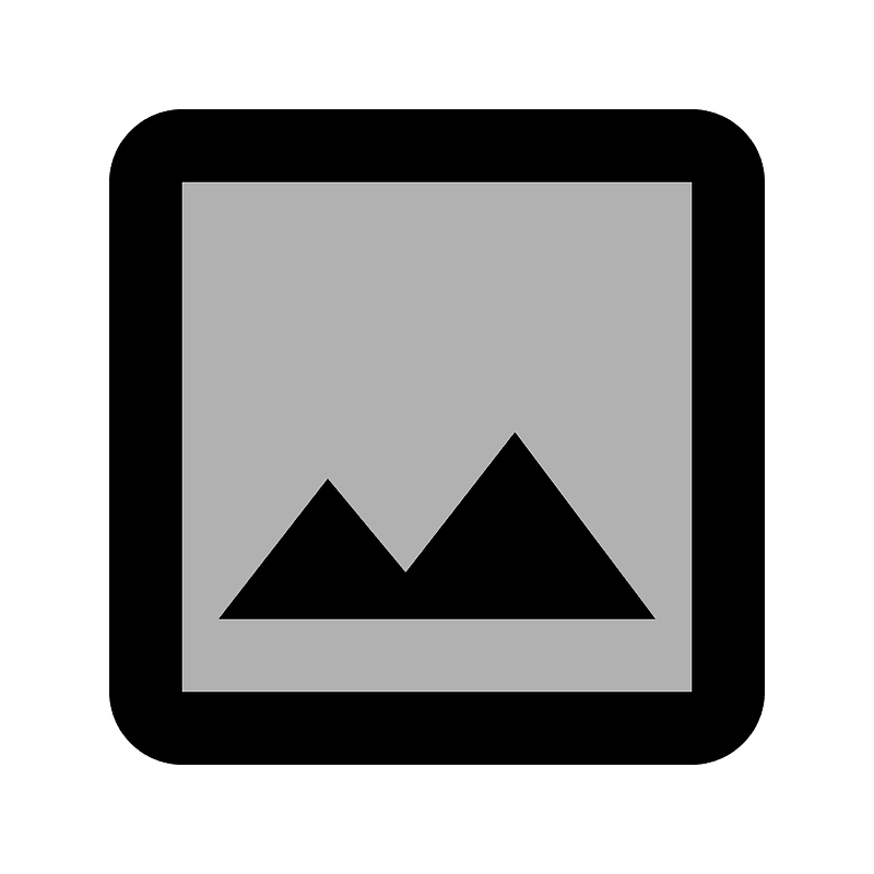 Insert photo