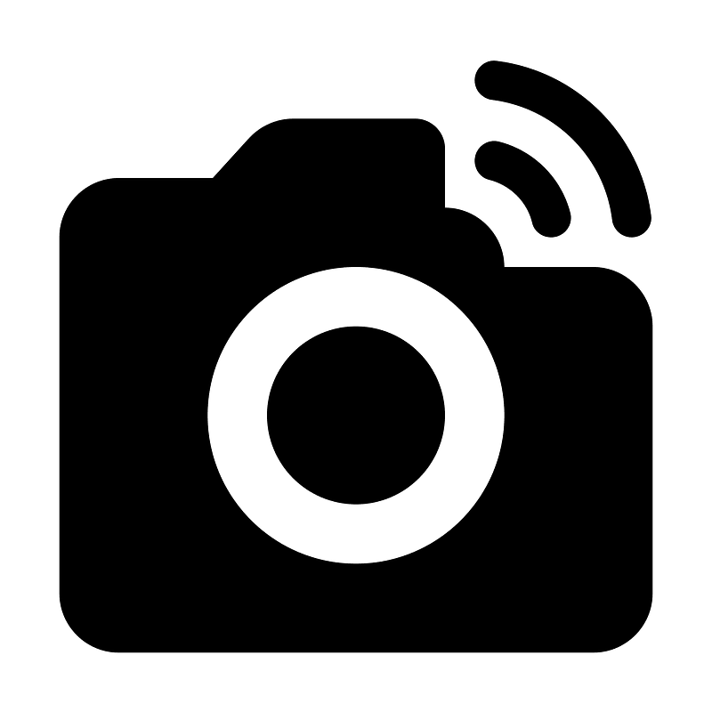 Linked camera