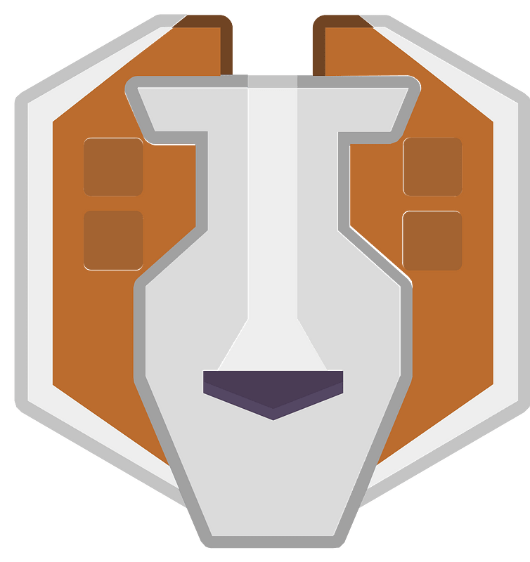 Starship 11-01 orange