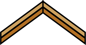 Brown rafters