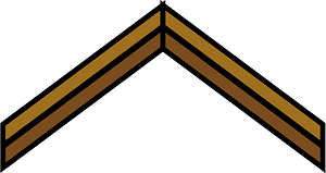 Brown rafters