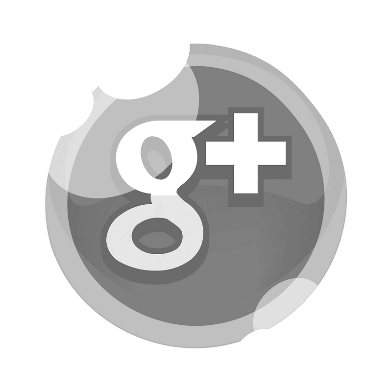 Round grey google button