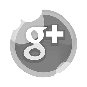 Round grey google button