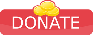 Horisontal donate button three coins