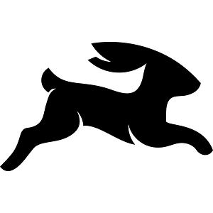 Directus