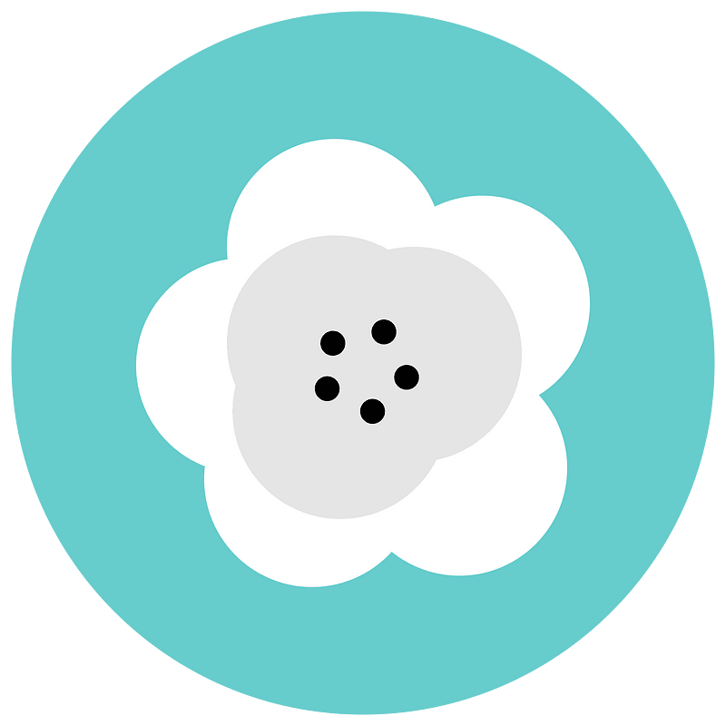 Flowers blossom