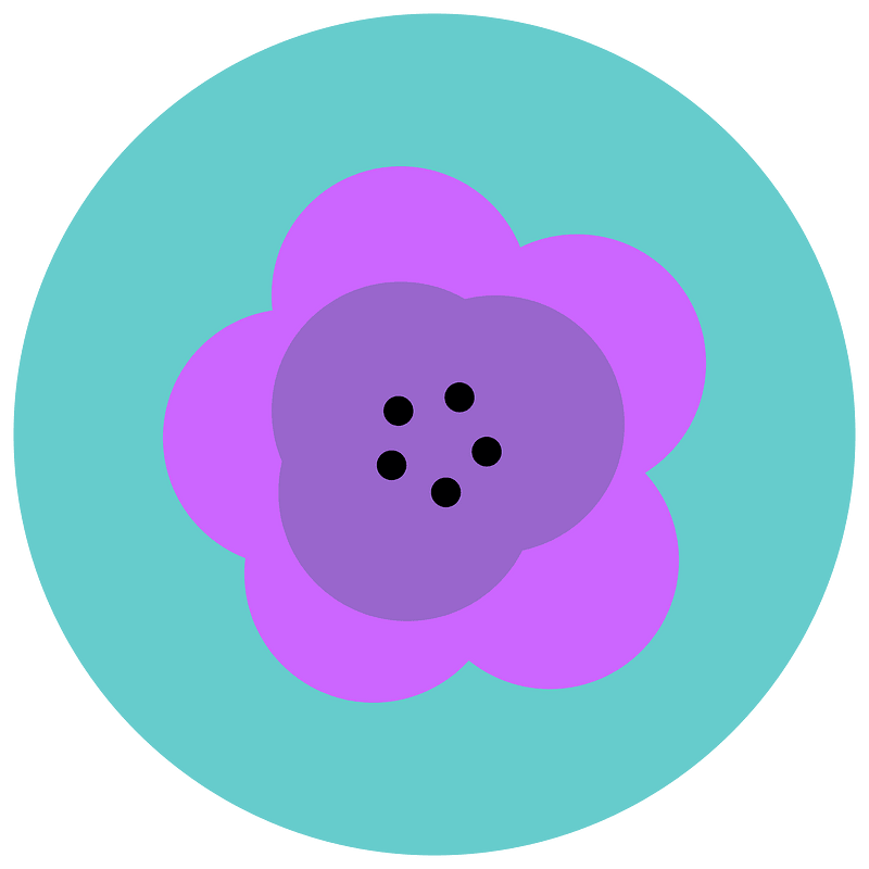 Flowers blossom