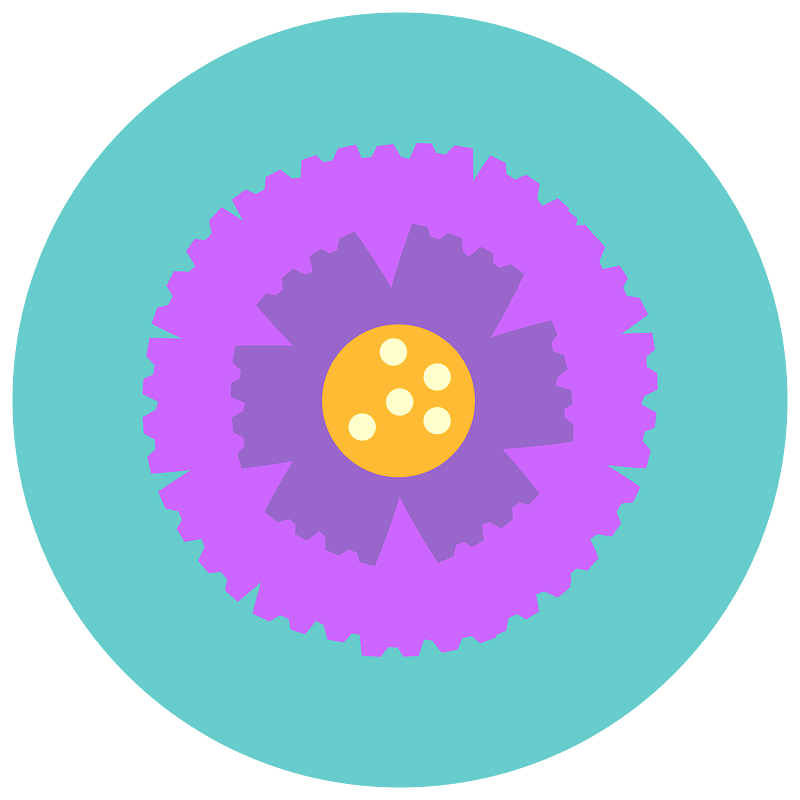 Flowers blossom