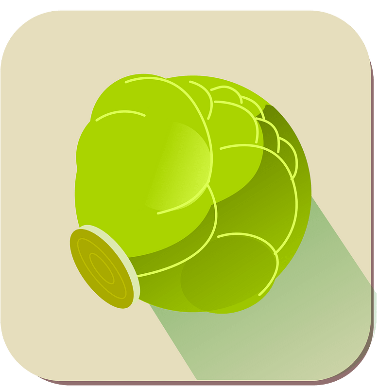 Cabbage vegetables
