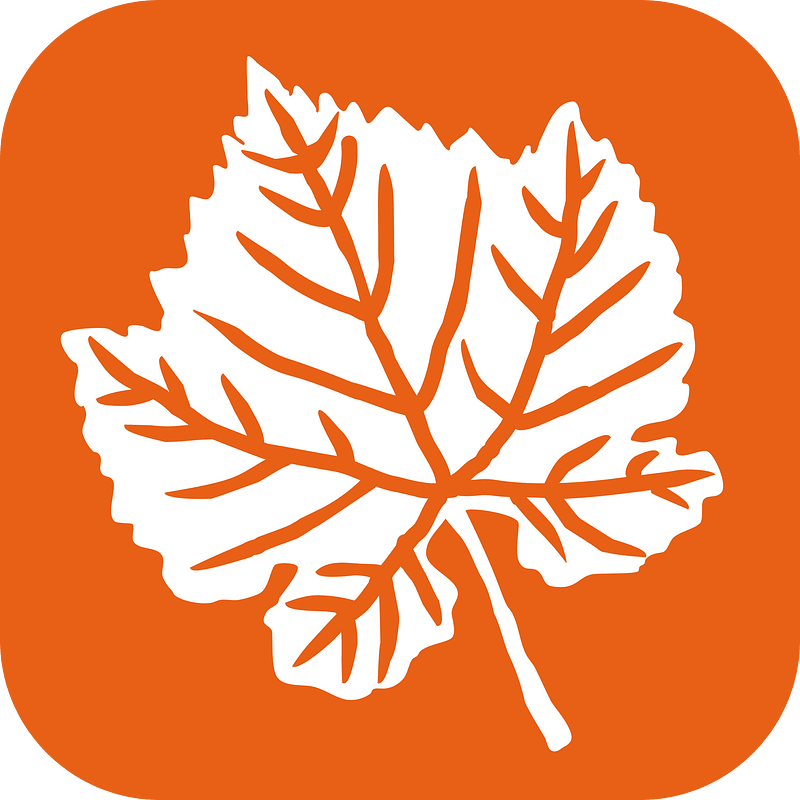 Fall