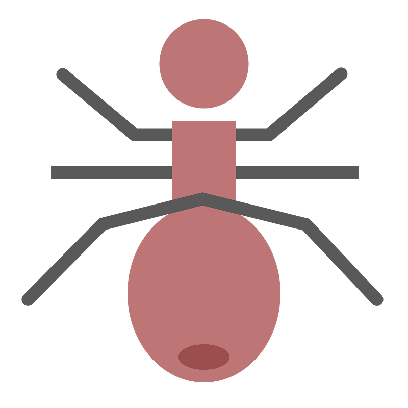 Ant