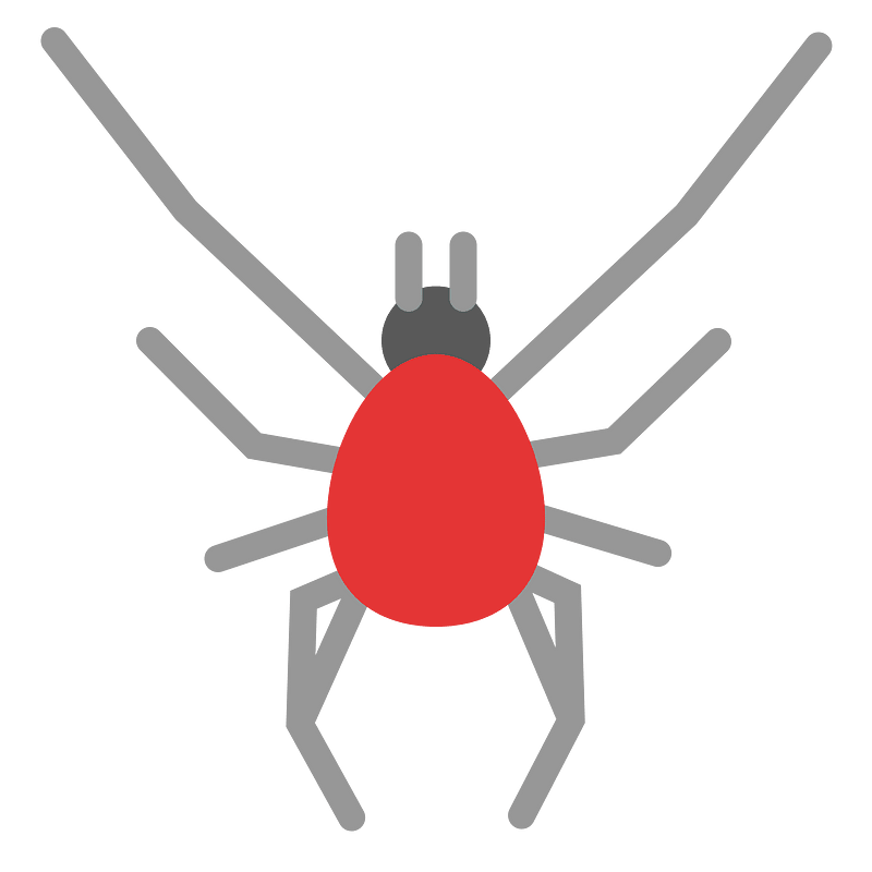 Red spider