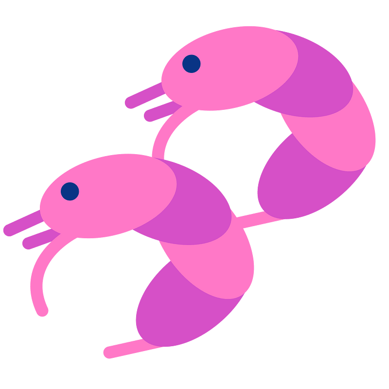Shrimps