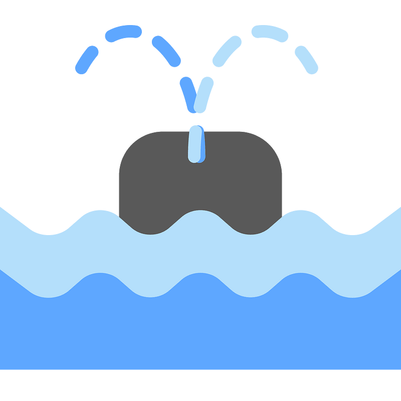 Whale sea