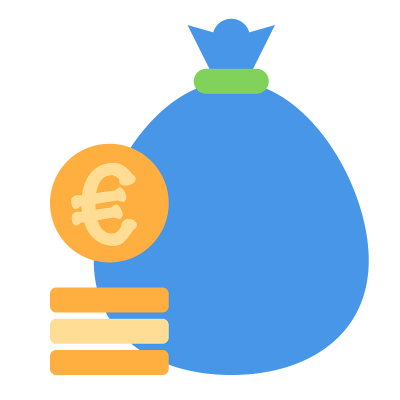 Coins bag