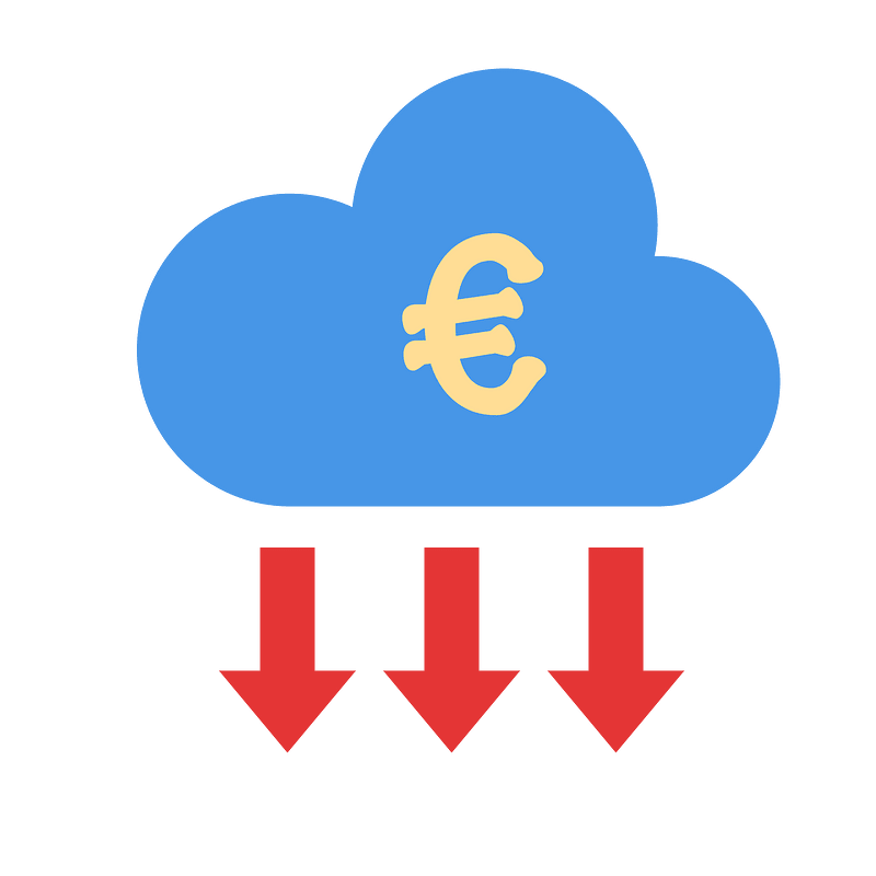 Euro expense