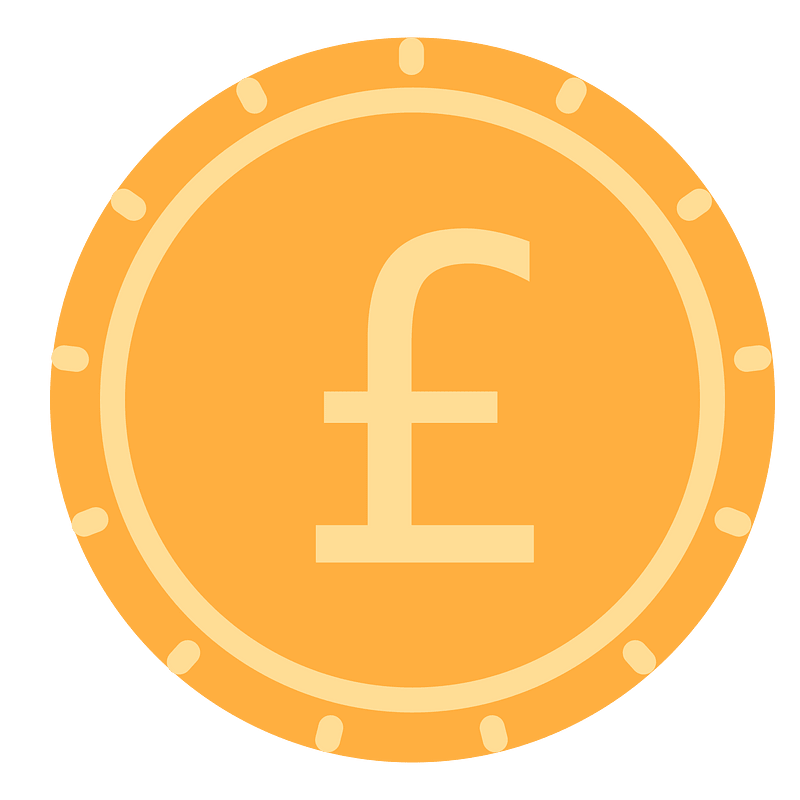 Pound coin