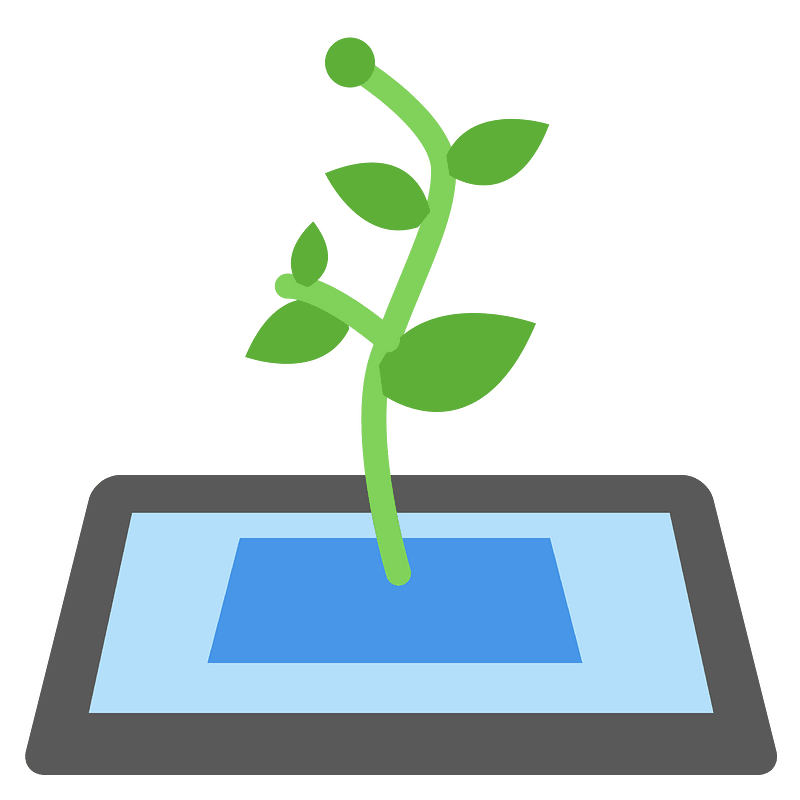 Leaf grow