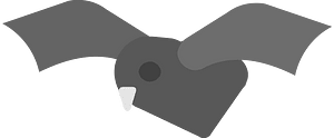 Black bat