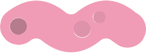 Pink crawling worm