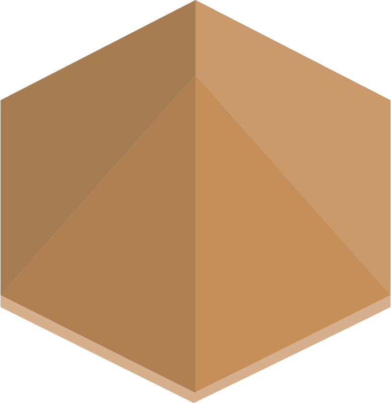 Brown hexagon tent