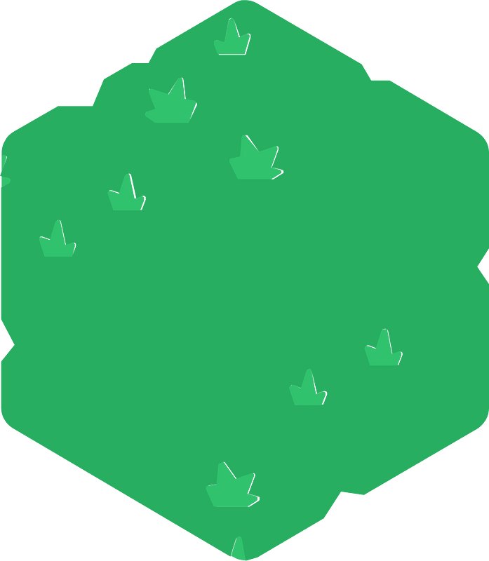 Hexagon green land