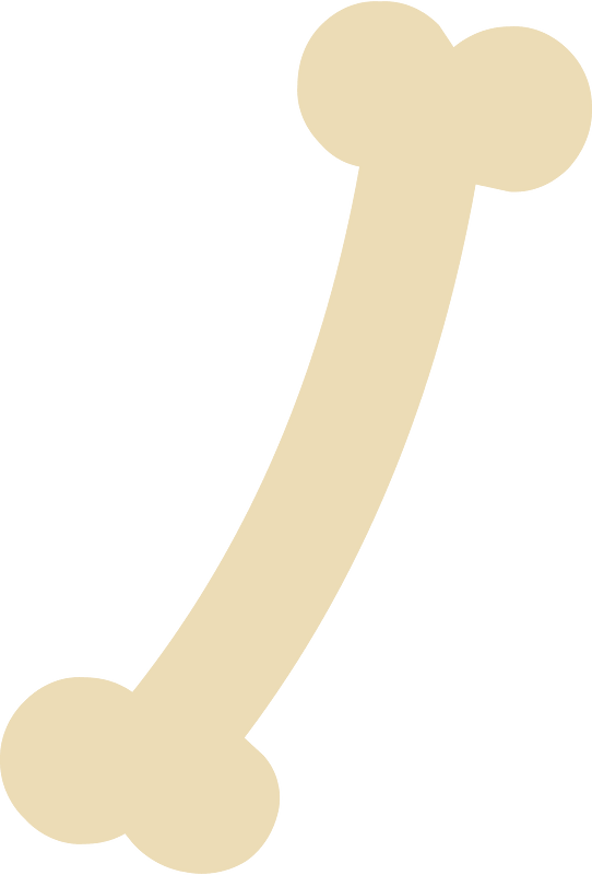 Item 054 bone