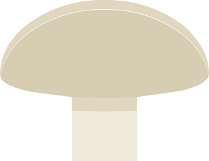 Beige mushroom