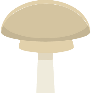 Beige mushroom