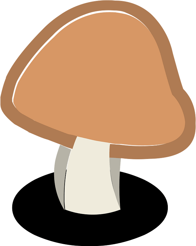 Brown mushroom