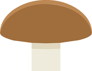 Brown mushroom