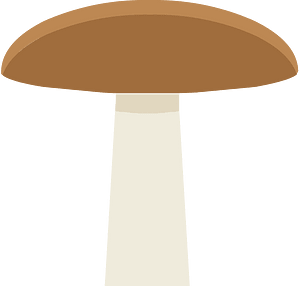 Brown mushroom