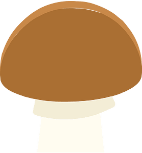 Brown mushroom