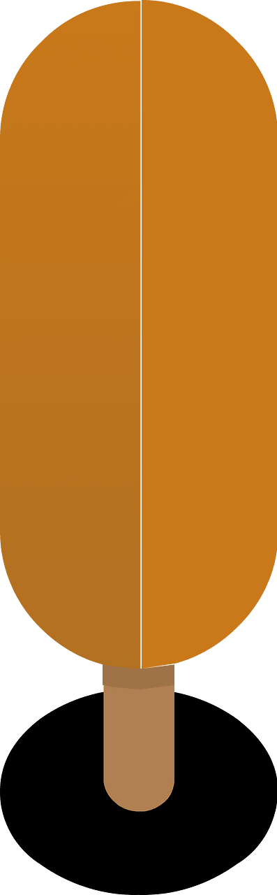 Orange tree 21 deciduous