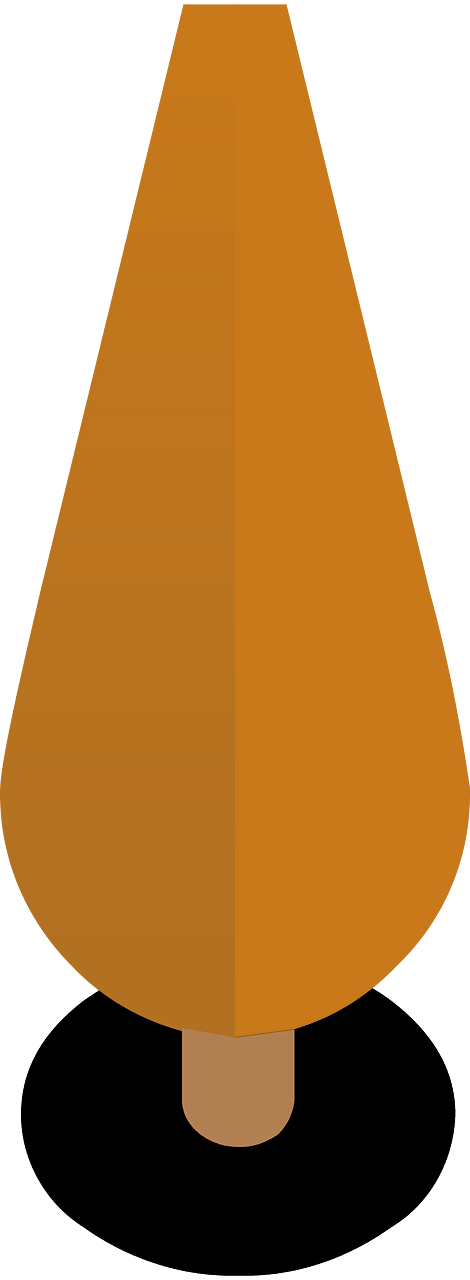 Orange tree 23 coniferous