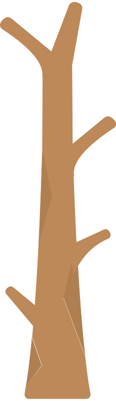 Brown tree trunk