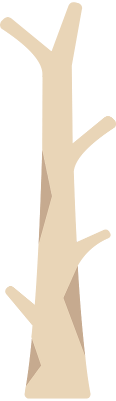 Light brown tree trunk