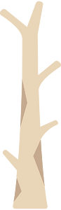 Light brown tree trunk