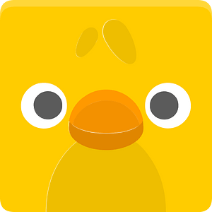 Square animal face 5-13 chicken