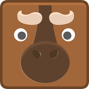 Square animal outlined face 6-16 bull