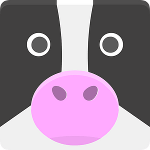 Square animal face 5-19 cow